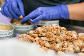 Picoteo de verano saludable con conservas de pescado gourmet
