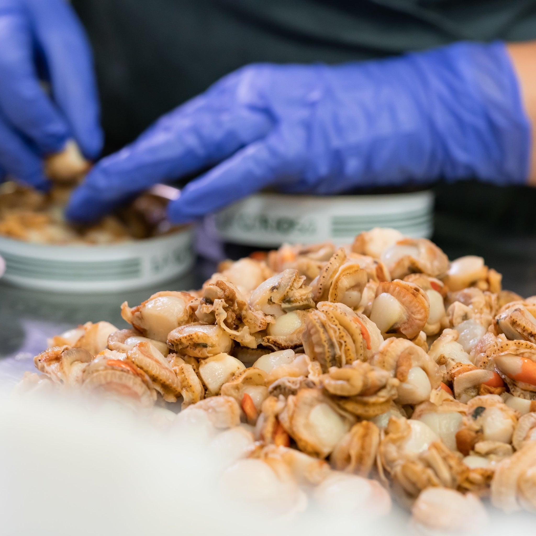 Picoteo de verano saludable con conservas de pescado gourmet